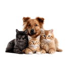 Kategorija proizvoda Hišni ljubljenčki