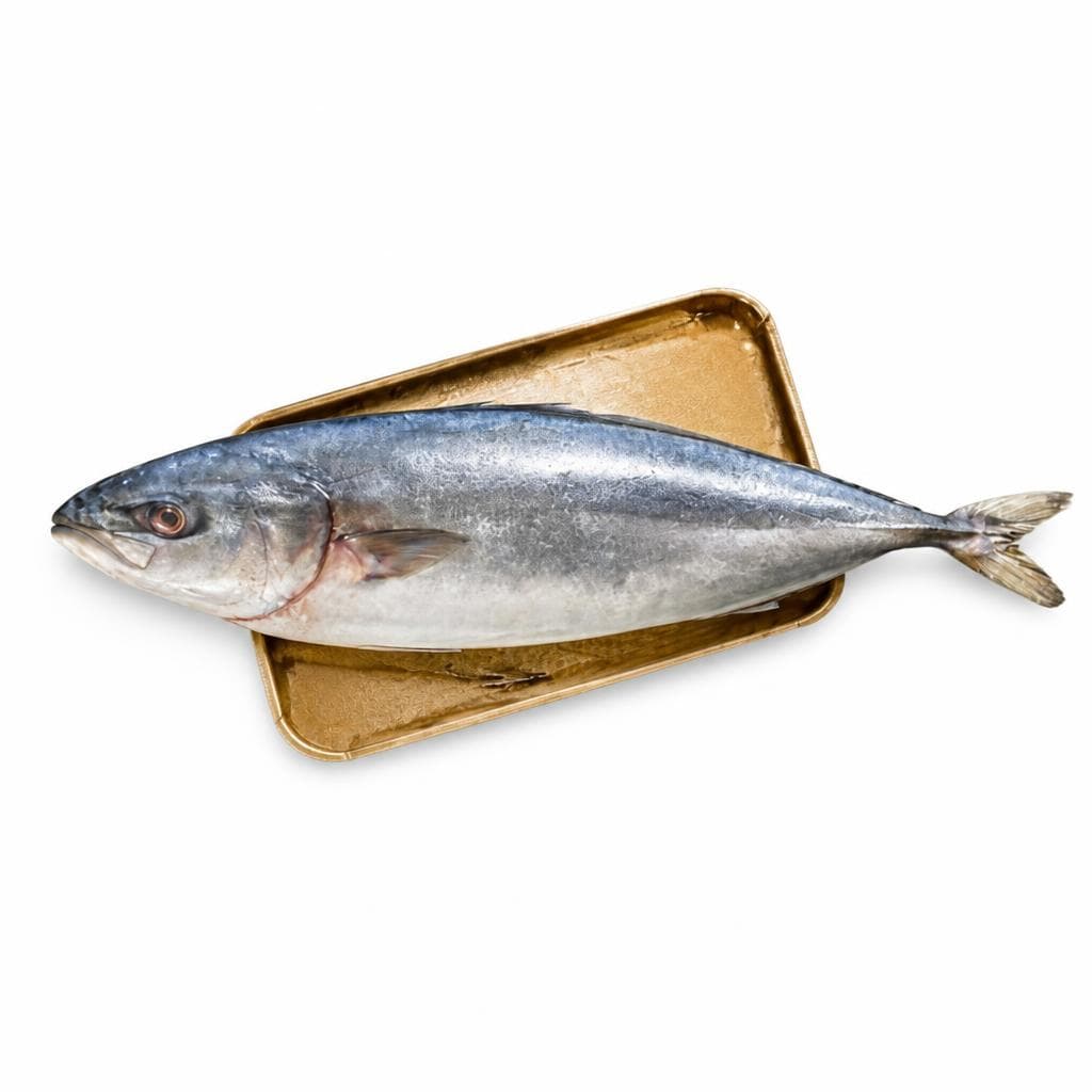 RIBARNICA Gof Akcija v trgovini Mercator