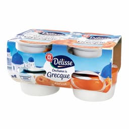 Délisse sadni jogurt po grško