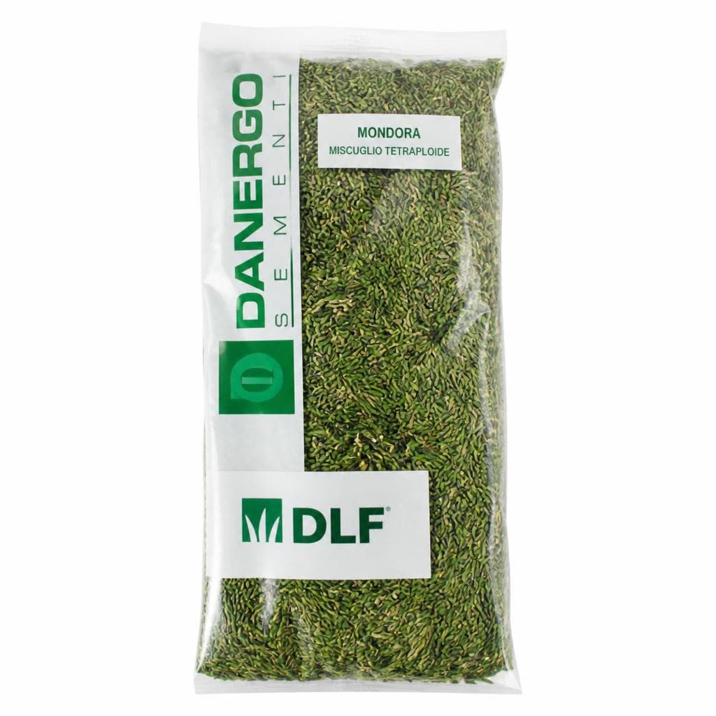 Tetraploidna mnogocvetna ljuljka Mondora ali Danergo 25 kg DLF Akcija v trgovini Jager