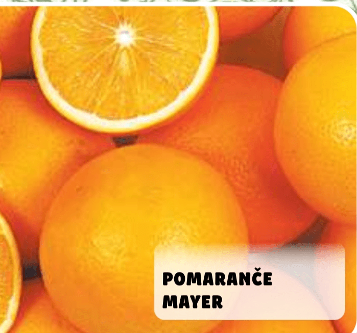 Pomaranče Mayer - Akcija v trgovini E.Leclerc