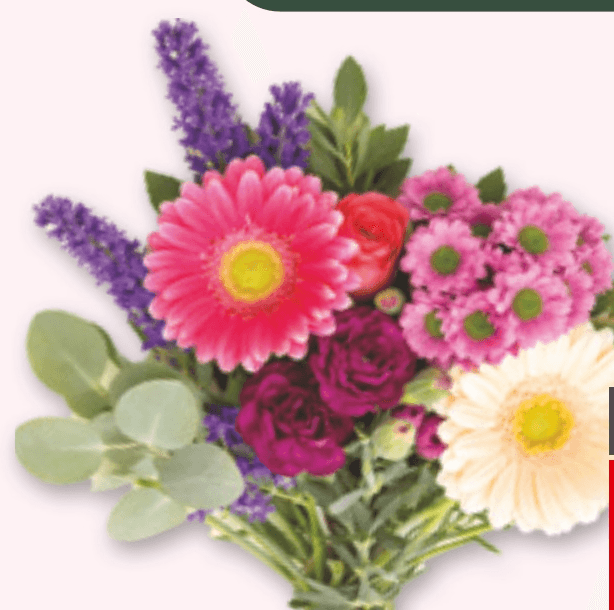 Mešani šopek - Akcija v trgovini Spar