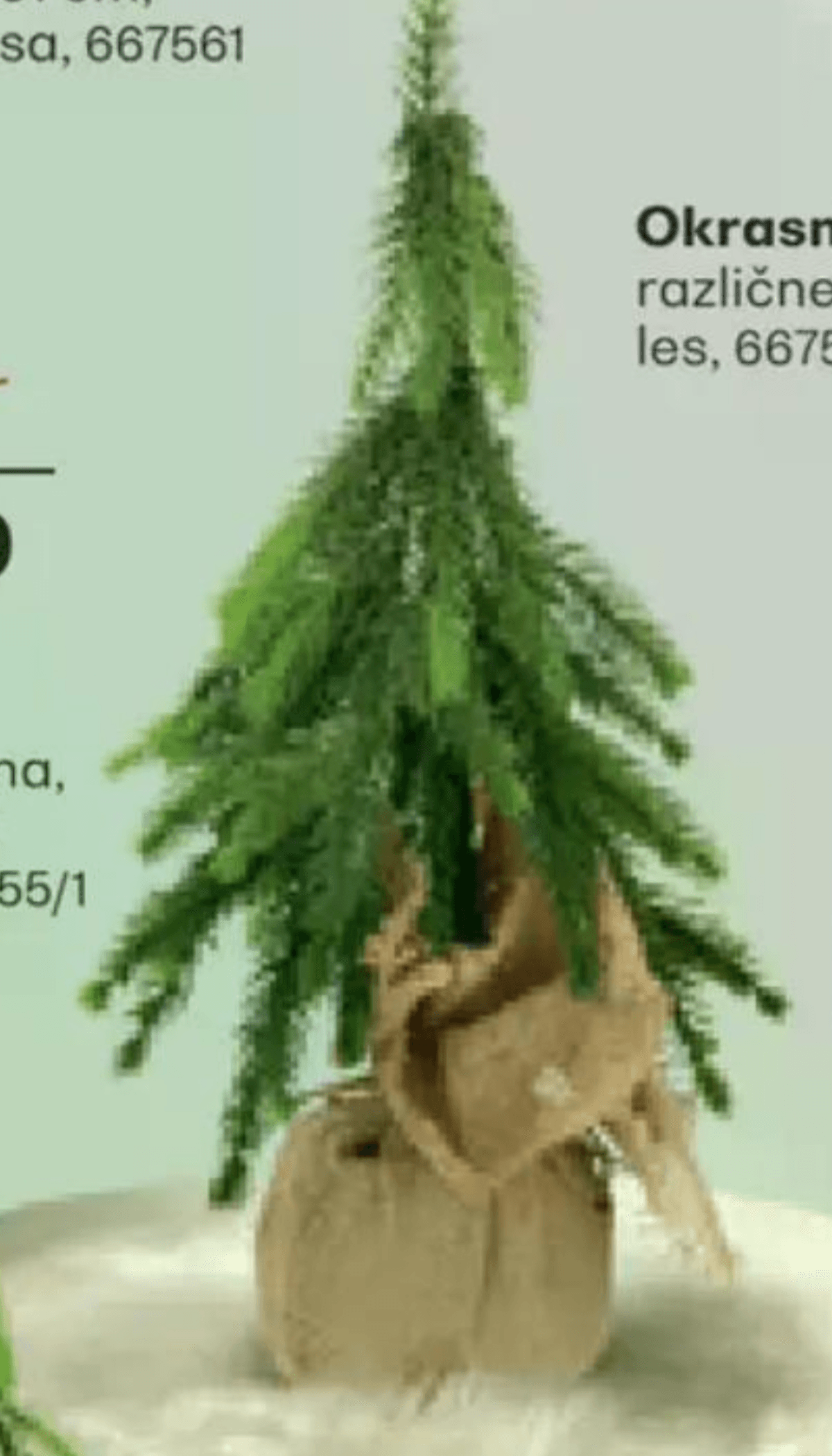 Jelka 45 cm - Akcija v trgovini Rutar