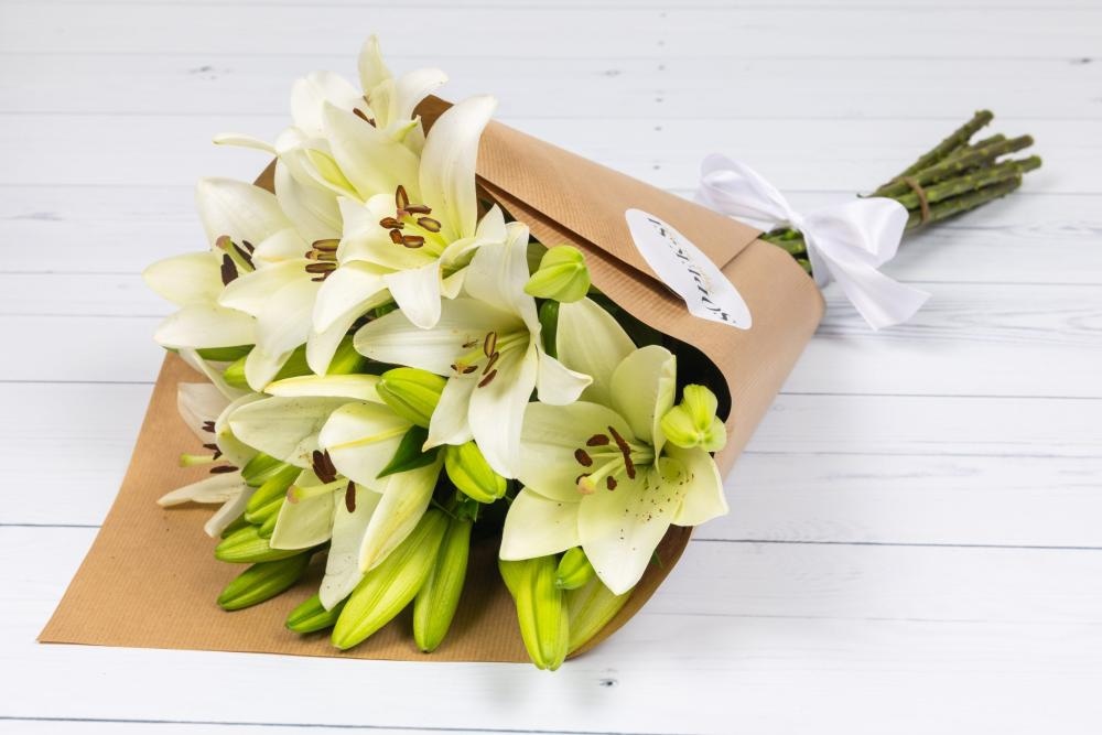 Šopek lilij - Akcija v trgovini Mercator