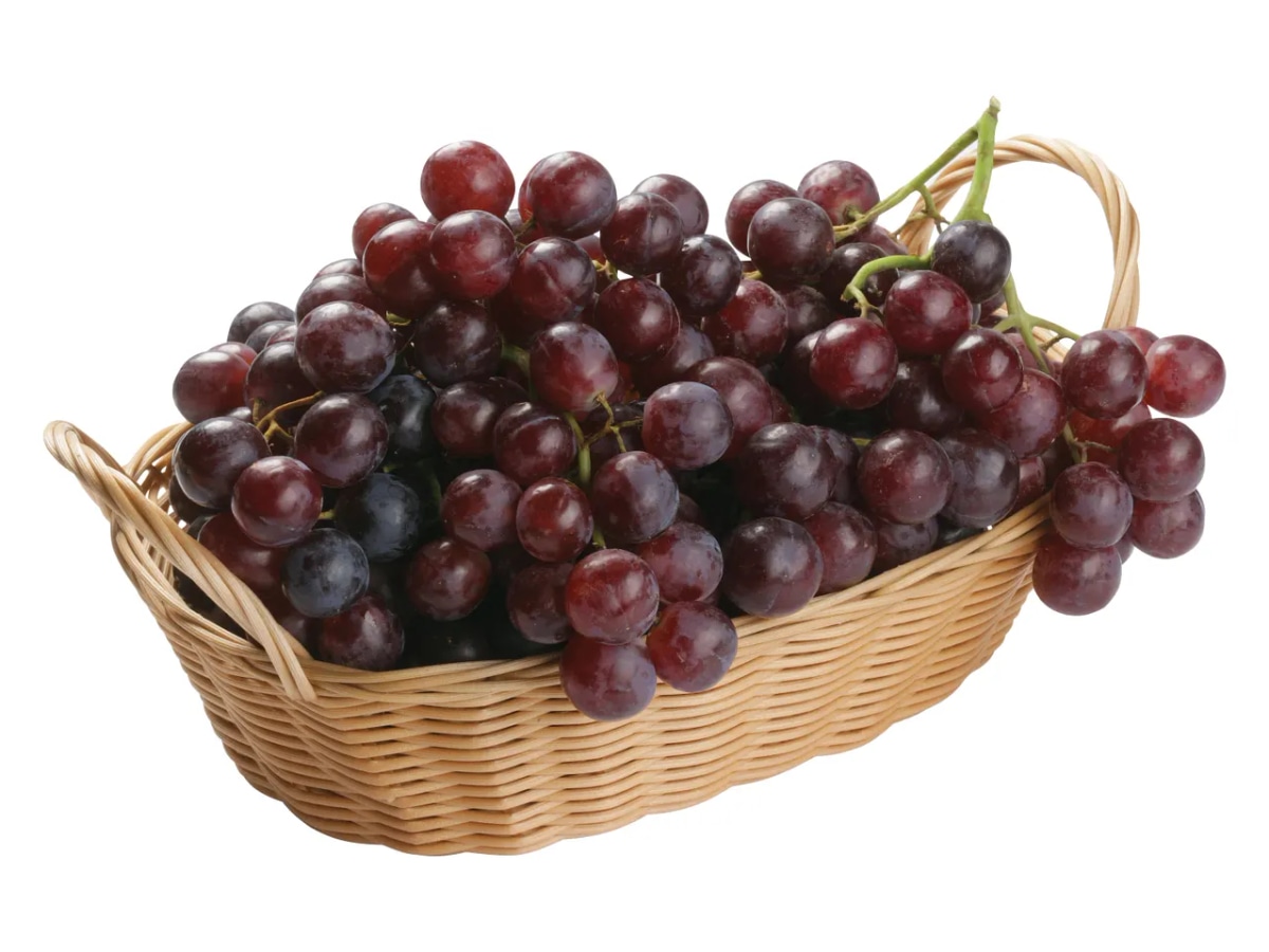 Temno grozdje - Akcija v trgovini Lidl