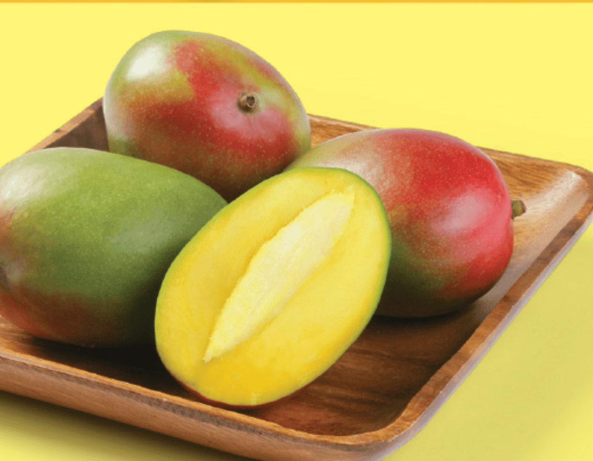 Mango - Akcija v trgovini Lidl