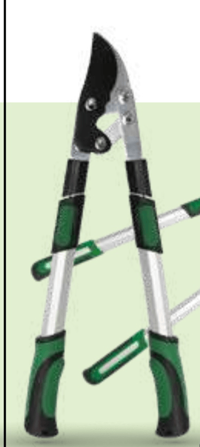 Škarje za obrezovanje vej in žive meje - Akcija v trgovini Mercator