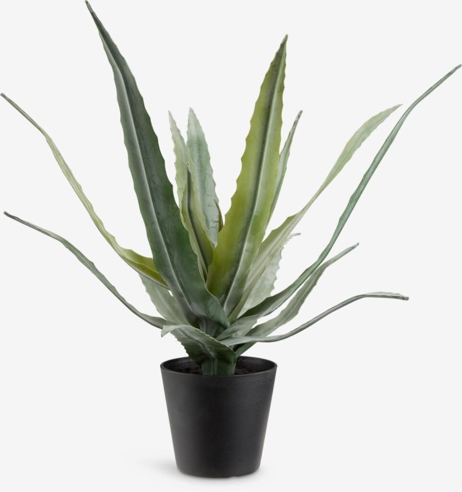 Umetna rastlina CELIUS Ø30xV39 cm - Akcija v trgovini Jysk