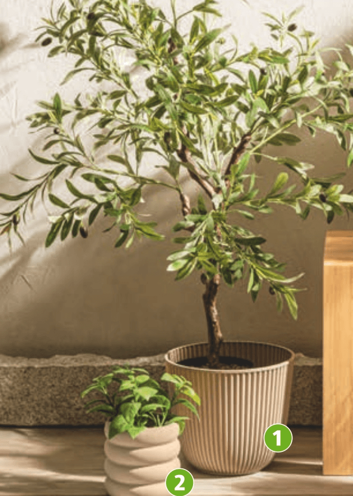 Cvetlični lonec iz umetne mase BELAVI - Akcija v trgovini Hofer