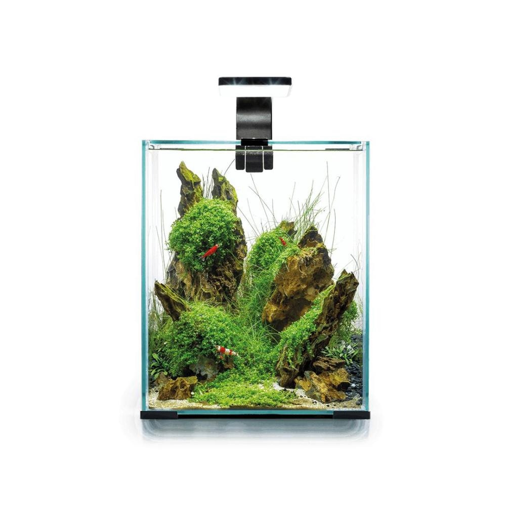 Akvarij Aquael Shrimp Set Day/Night 25x25x30CM, 29x29x35CM - Akcija v trgovini Mr. Pet