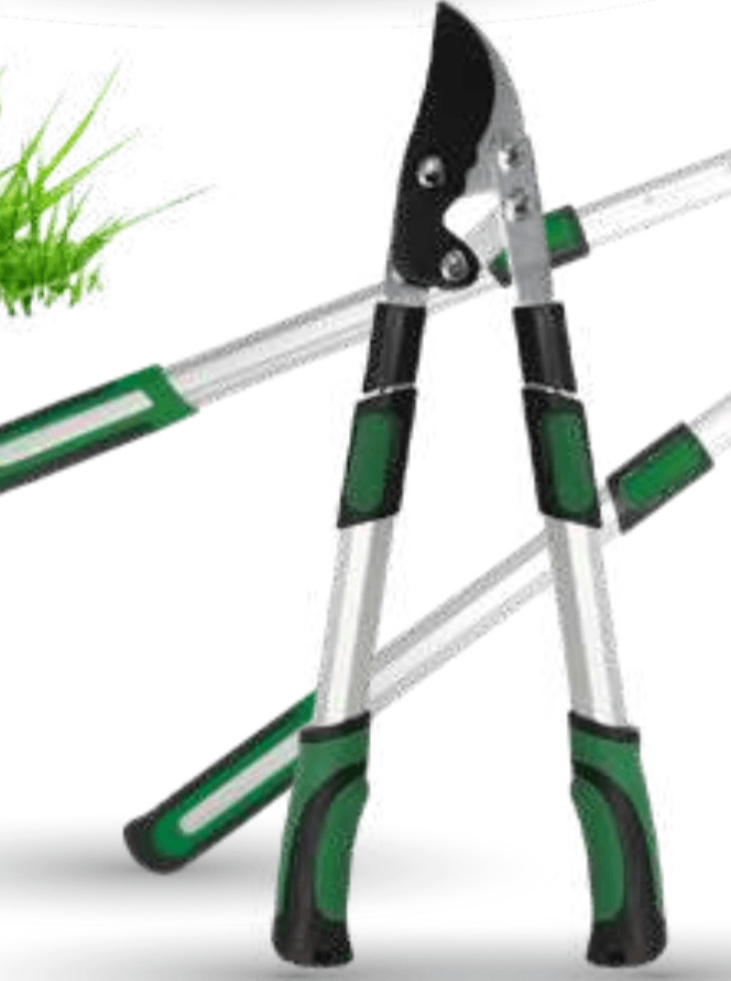 Vrtne škarje - Akcija v trgovini Mercator