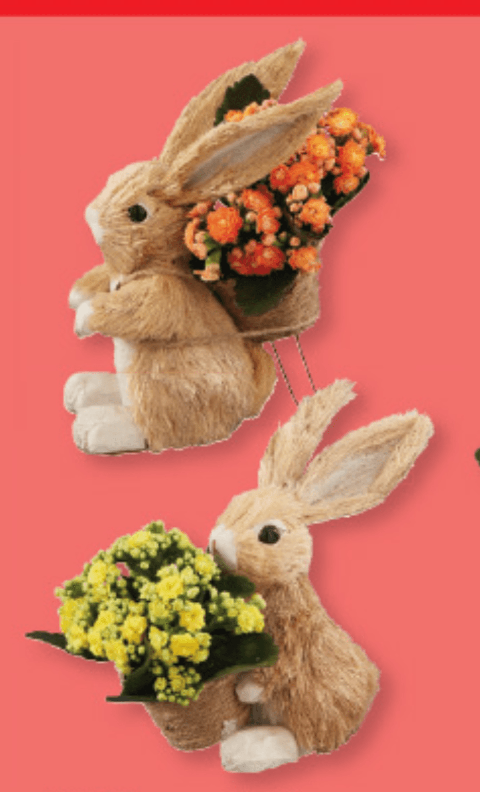 Velikonočni zajček - Akcija v trgovini Lidl