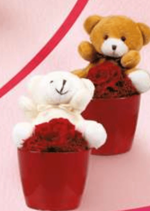 Medvedek s preparirano vrtnico - Akcija v trgovini E.Leclerc