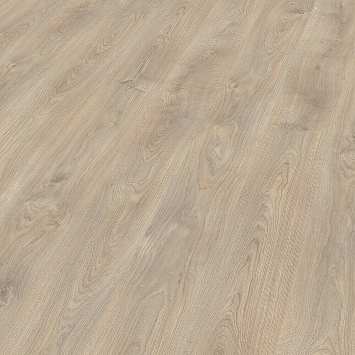 Laminat Havanna d 1.292 x š 193 x deb. 7 mm, natur hrast, razred 31, v paketu 2,494 m2 Akcija v trgovini Bauhaus