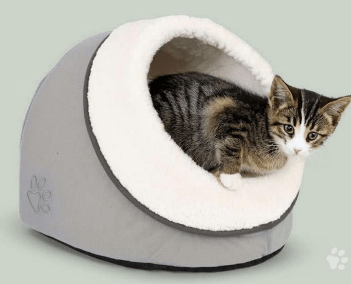 Skrivališče za mačke Radames - Akcija v trgovini Eurospin