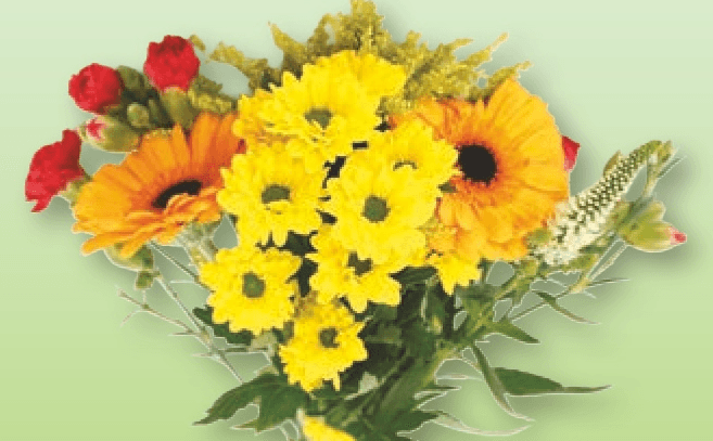 Mešani šopek - Akcija v trgovini Spar