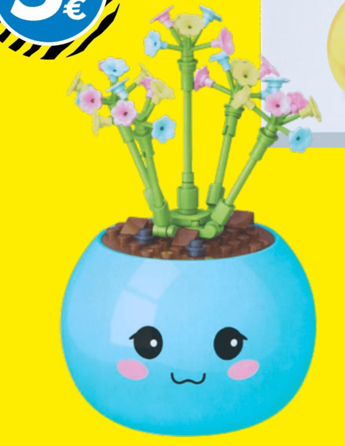 Komplet kock roža v lončku - Akcija v trgovini Tedi