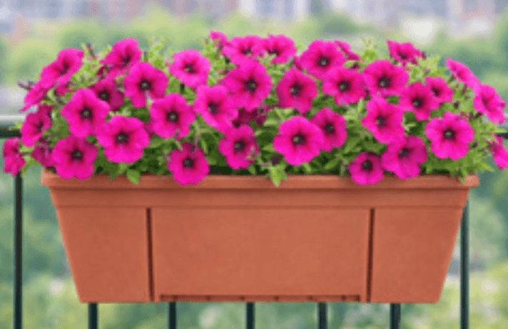 Balkonsko korito za rože 10 l - Akcija v trgovini Spar