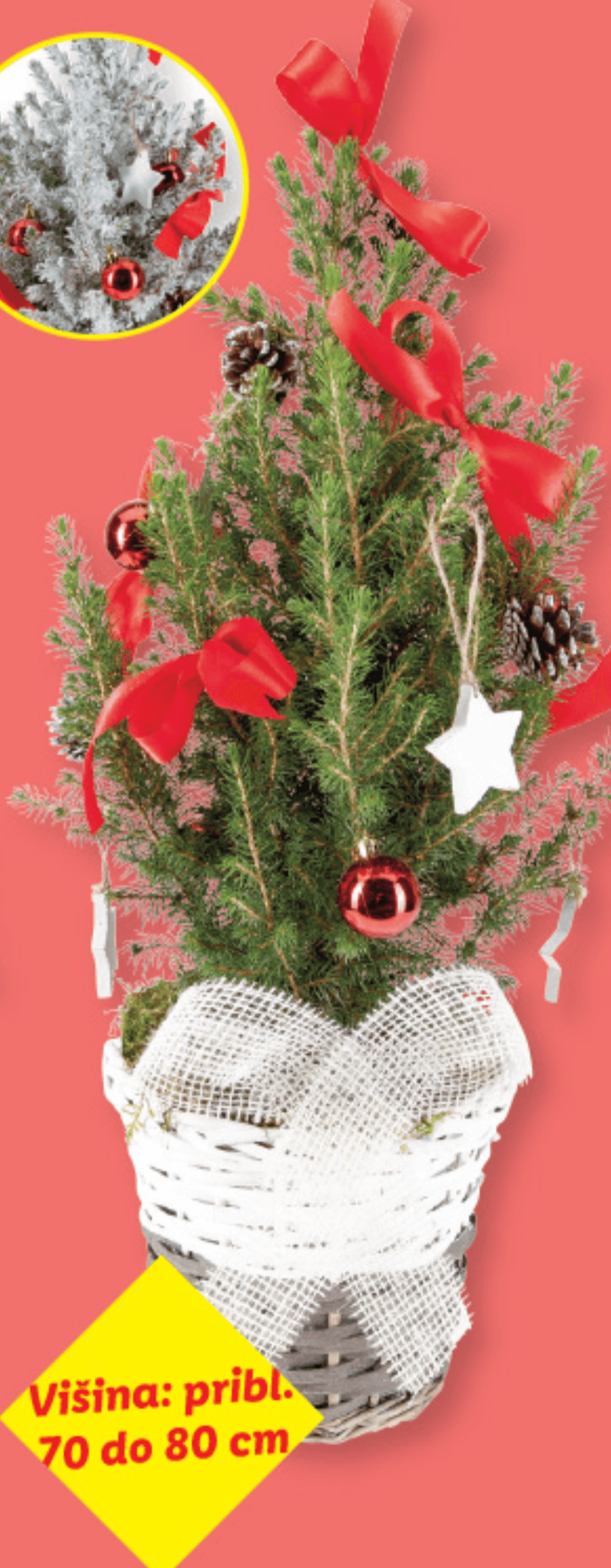 Božično drevo - Akcija v trgovini Lidl