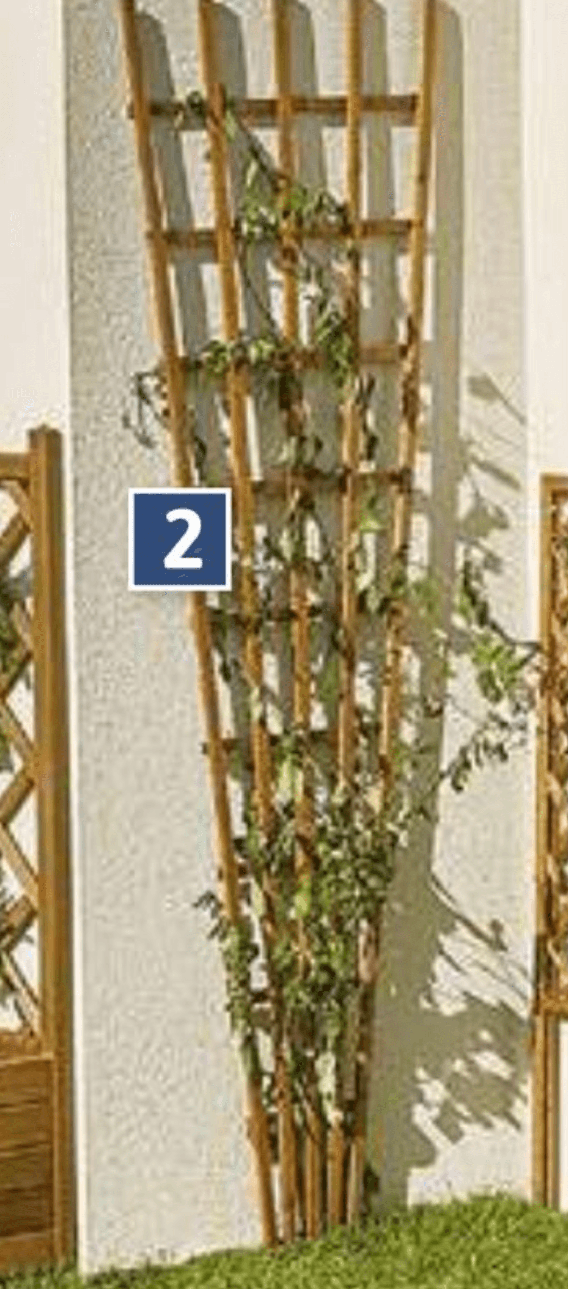 Opora za rastline - Akcija v trgovini E.Leclerc