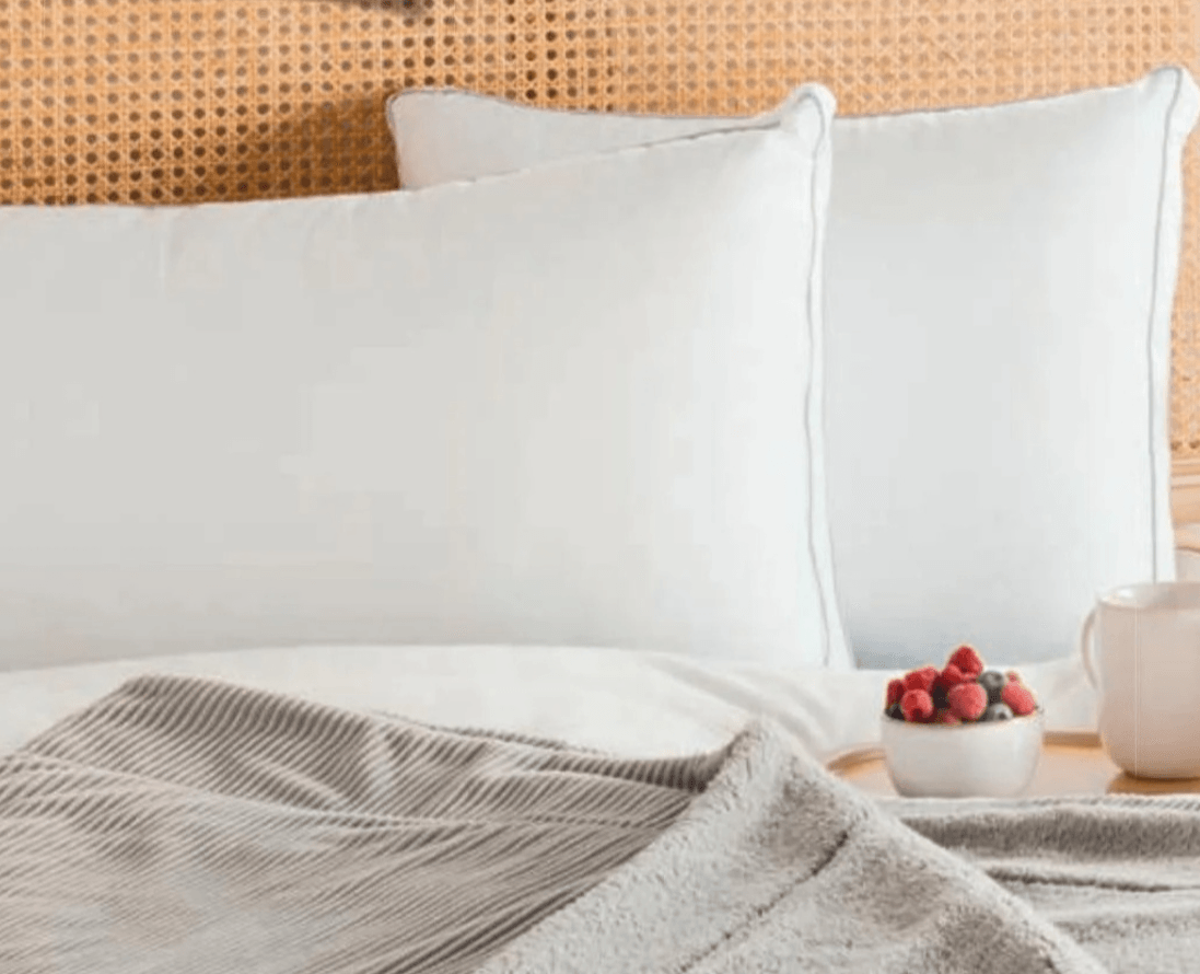 Blazina NOVITESSE - Akcija v trgovini Hofer