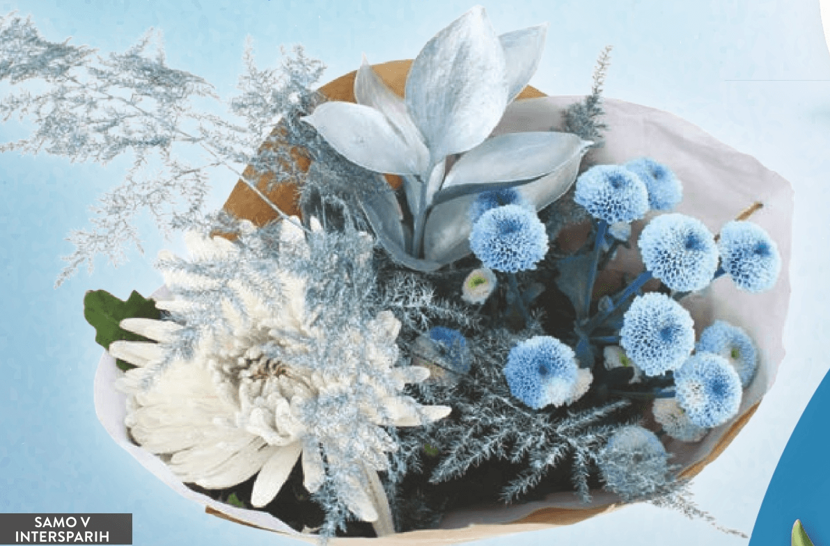 Ledeni mešani šopek - Akcija v trgovini Spar