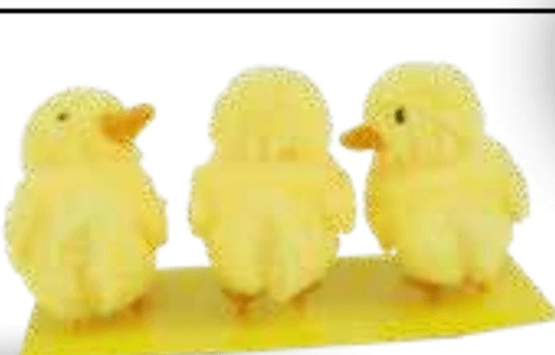 Okras piščančki 3/1 - Akcija v trgovini Mercator