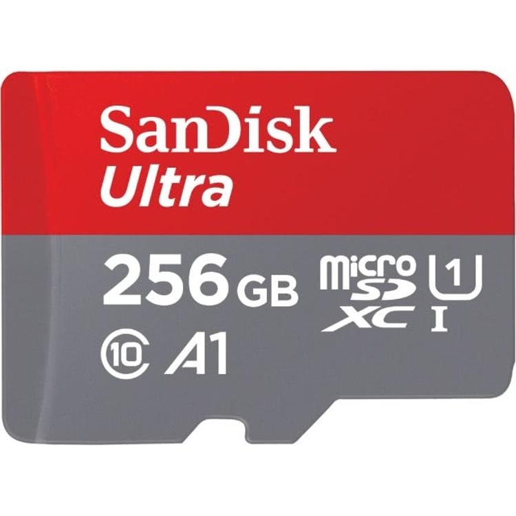 Spominska kartica 256 GB SanDisk - Akcija v trgovini Jager