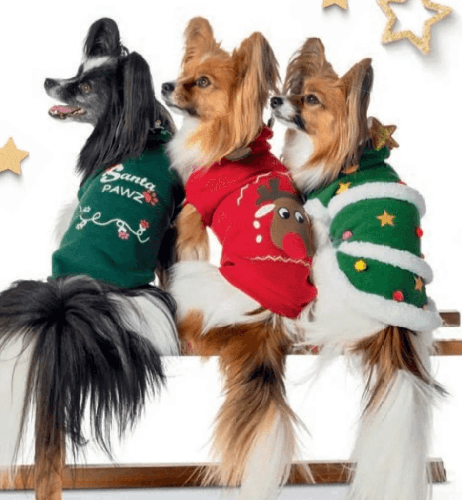 Praznični pulover za psa Romeo - Akcija v trgovini Hofer