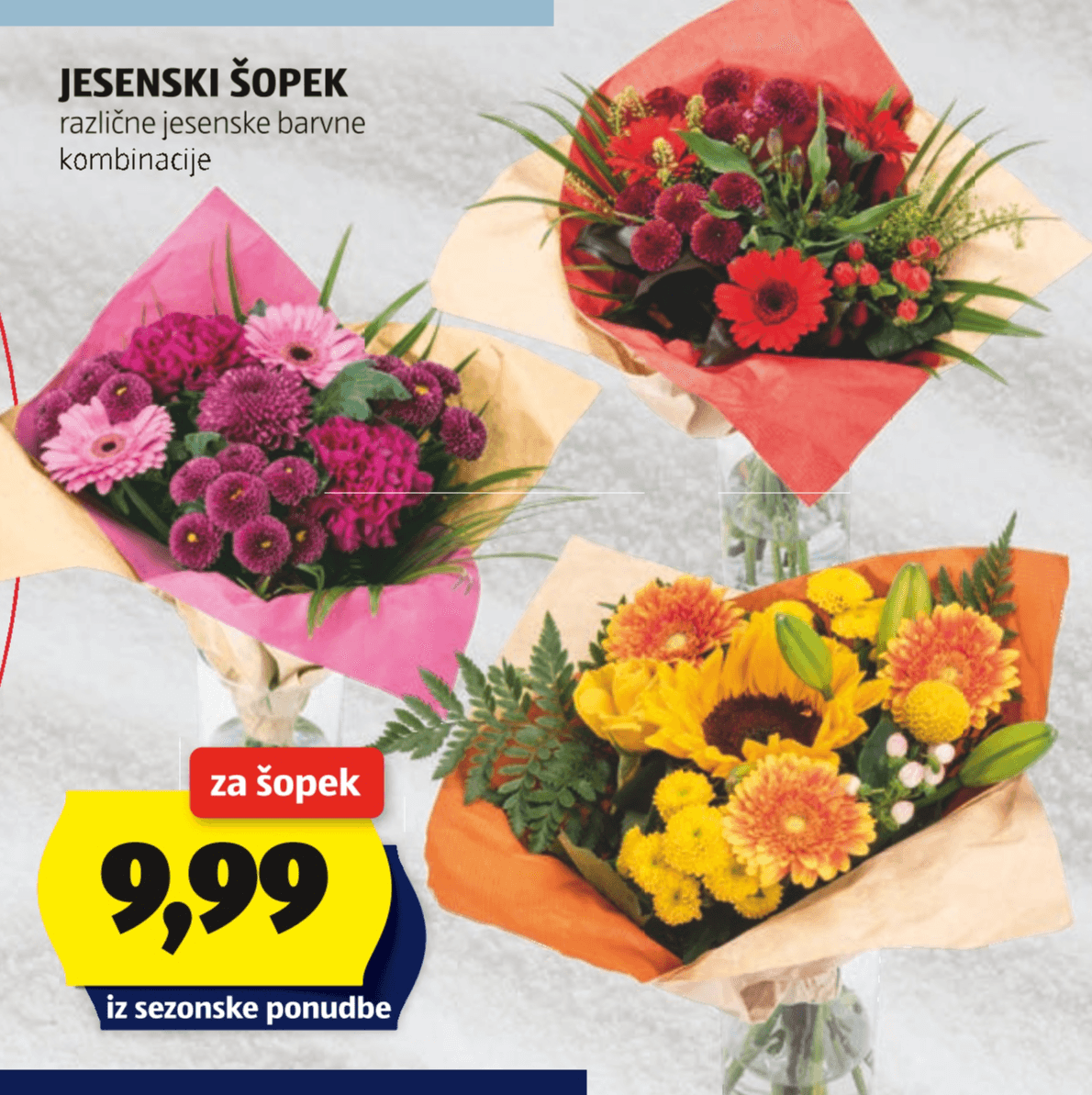 Jesenski šopek Akcija v trgovini Hofer