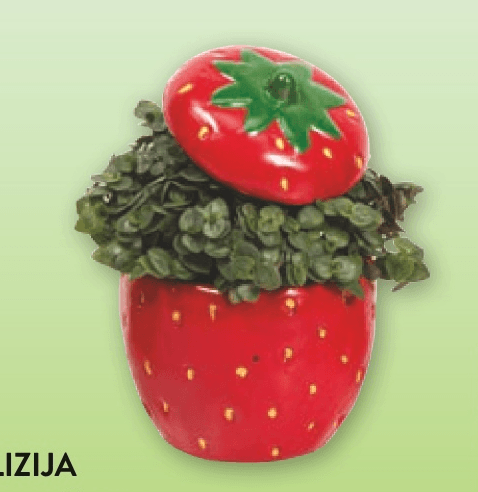 Kalizija - Akcija v trgovini Spar