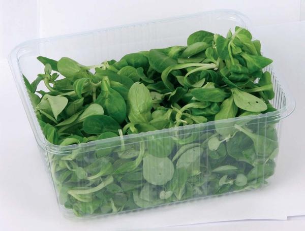 Motovilec 250 g - Akcija v trgovini Eurospin