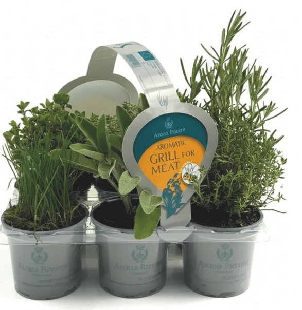 Mix dišavnic in zelišč za žar Aroma Pacere - Akcija v trgovini Merkur