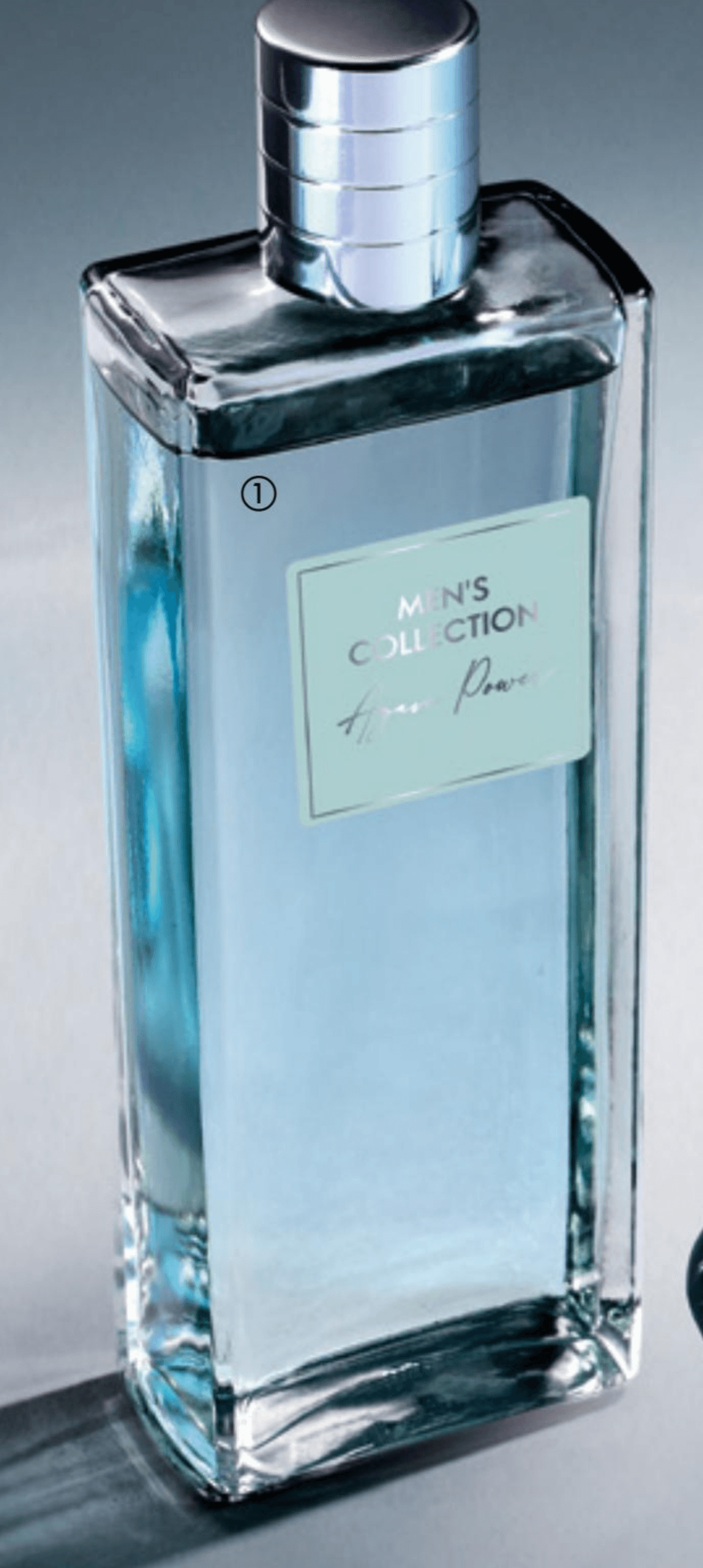 Men's Collection Agave Power toaletna voda 100 ml - Akcija v trgovini Oriflame