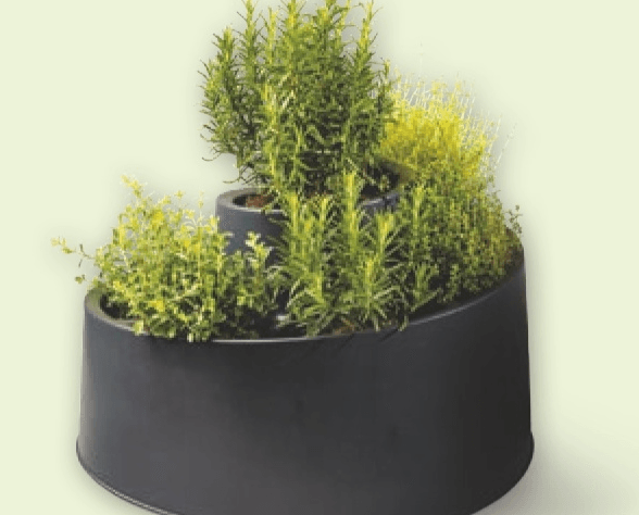 Cvetlični lonec - Akcija v trgovini Spar