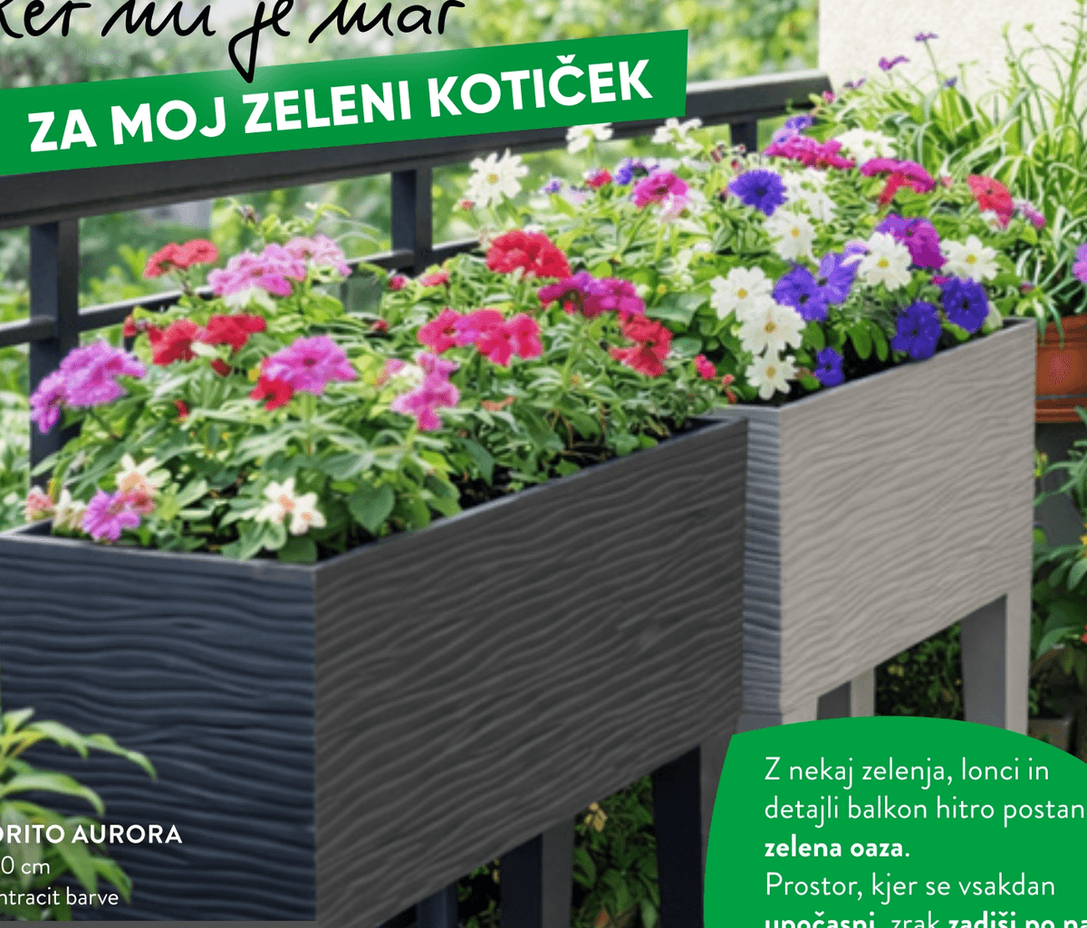 Korito Aurora - Akcija v trgovini Spar