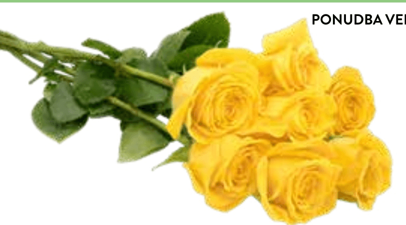 ŠOPEK VRTNIC - Akcija v trgovini Spar