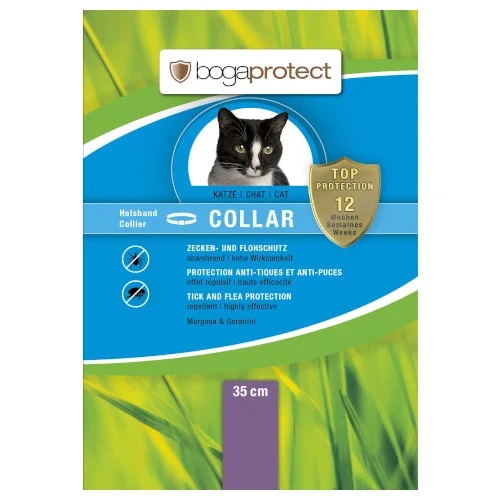 Bogaprotect Ovratnica - Akcija v trgovini Mr. Pet