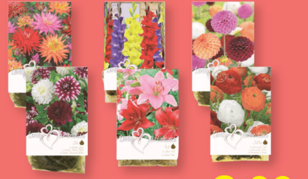 Gomolji „Lovely Combinations“ - Akcija v trgovini Lidl