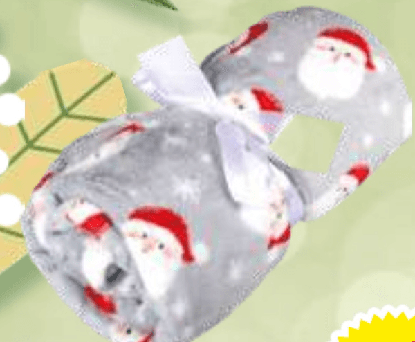 Potiskana odeja 125 x 150 cm Ourson - Akcija v trgovini E.Leclerc