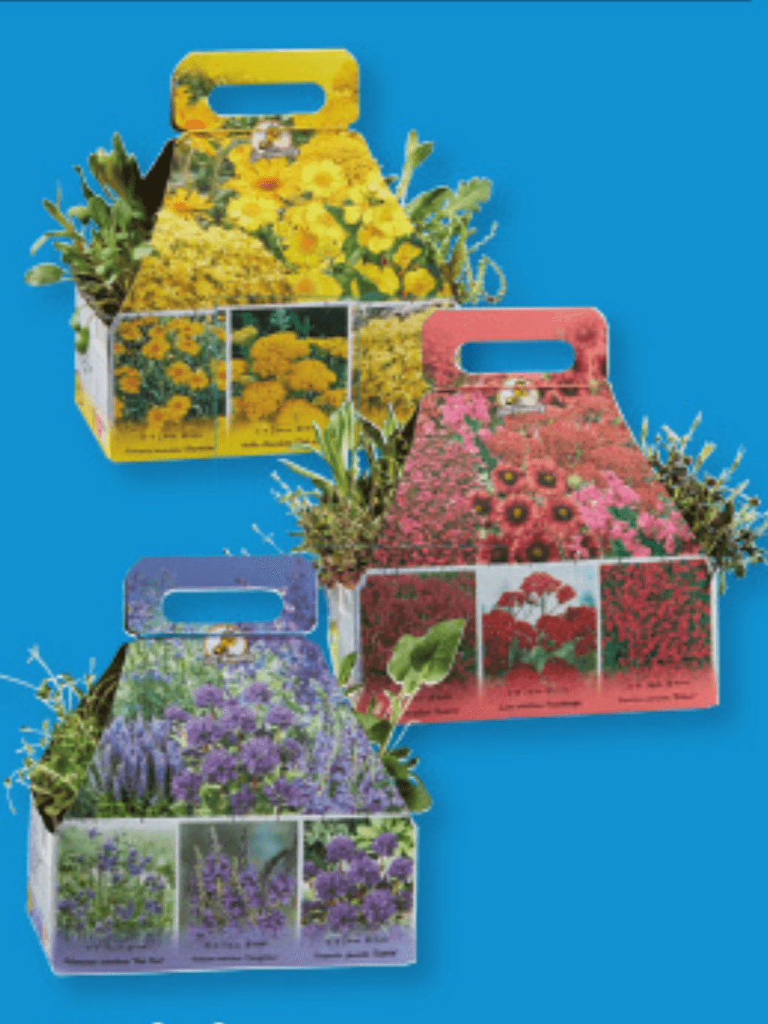 Trajnice 6 kosov - Akcija v trgovini Lidl