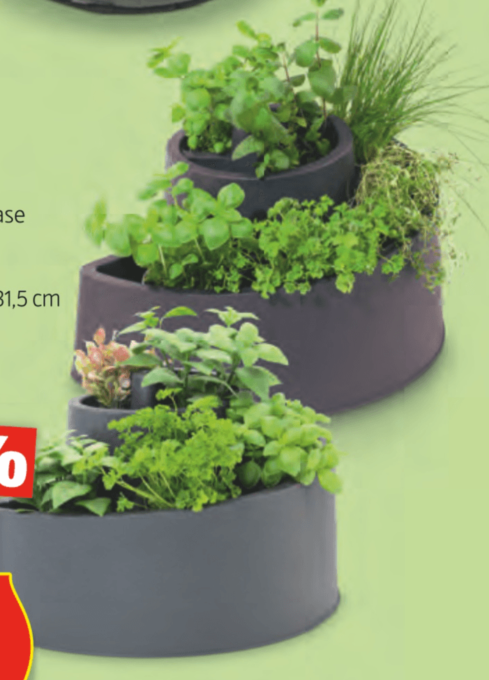 Spirala za zelišča BELAVI - Akcija v trgovini Hofer