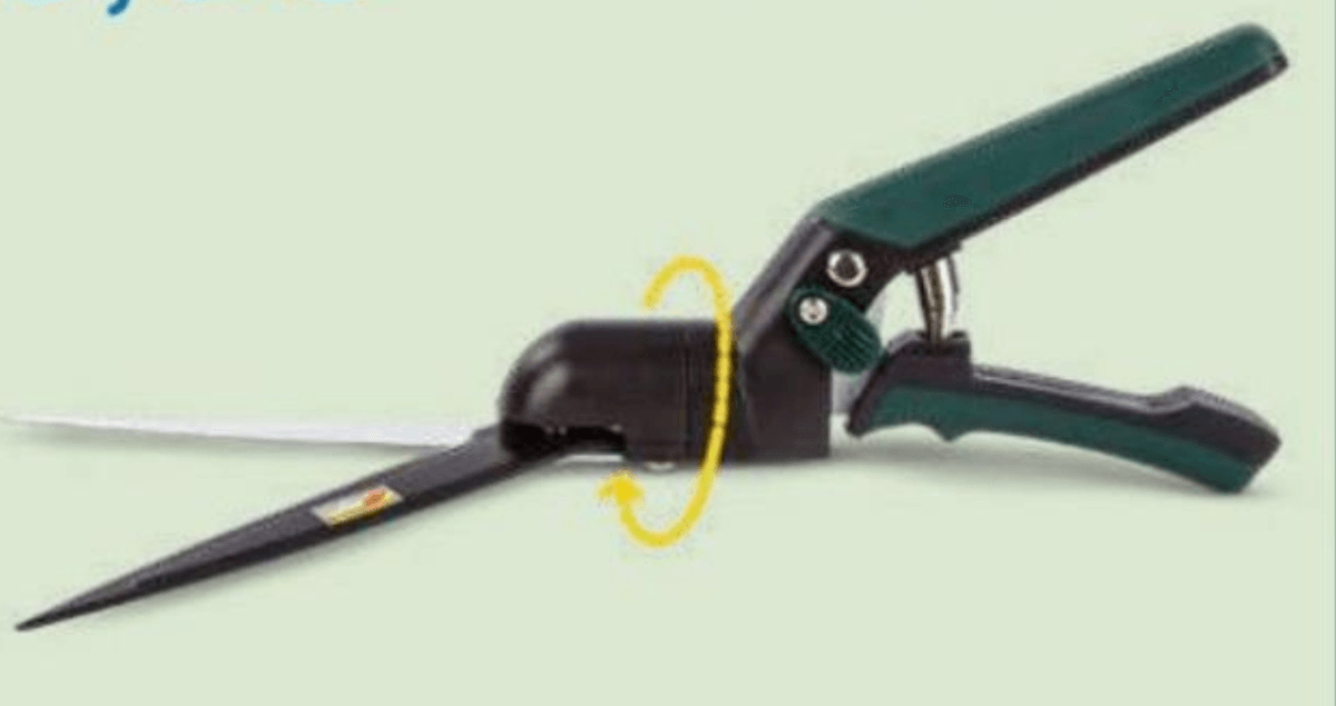 Škarje za travo - Akcija v trgovini Eurospin