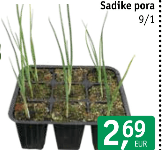 Sadike pora 9/1 - Akcija v trgovini Jager