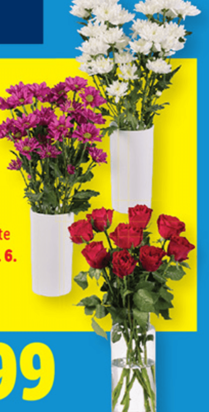 Rezano cvetje - Akcija v trgovini Lidl