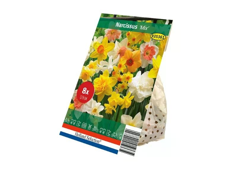 Easy Gardening cvetlične čebulice 19 čebulic Akcija v trgovini Hofer