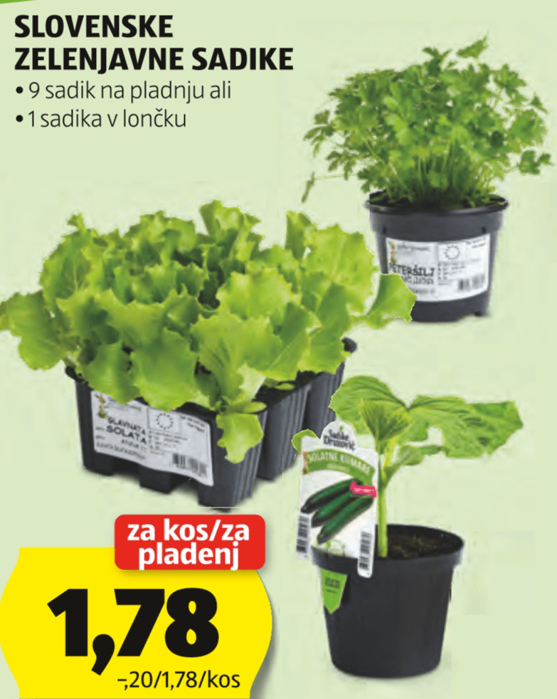 Slovenske zelenjavne sadike - Akcija v trgovini Hofer