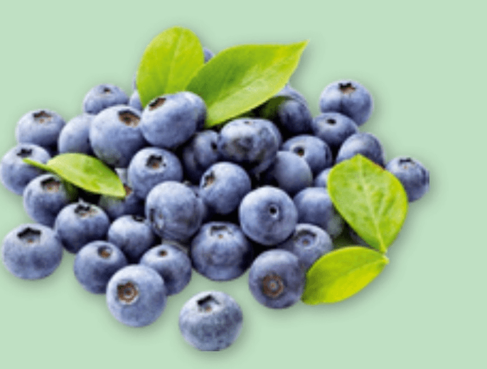 BIO BOROVNICE 500 g - Akcija u trgovini Spar