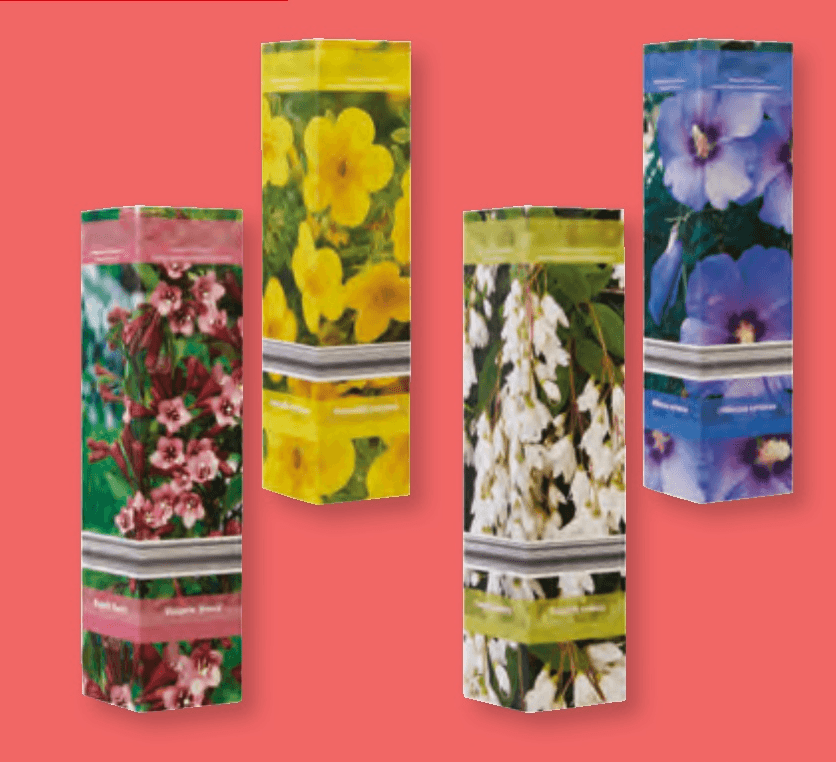 Okrasno grmičevje - Akcija v trgovini Lidl