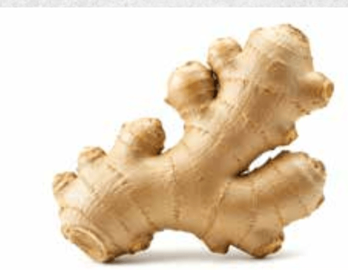 Ingver - Akcija v trgovini Tuš